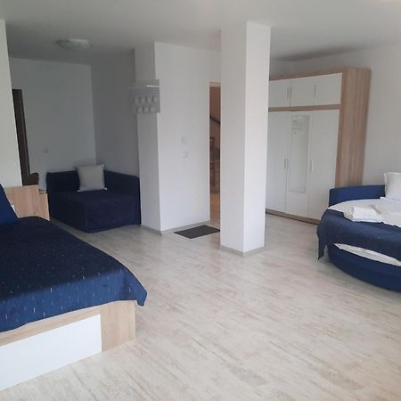 Vila Alba Brasov Bagian luar foto