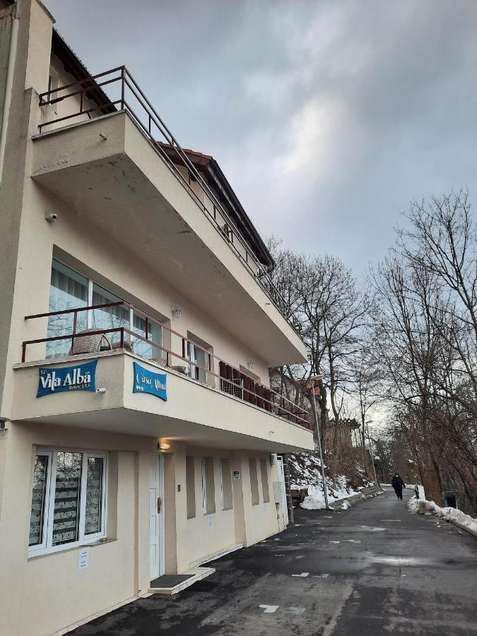 Vila Alba Brasov Bagian luar foto