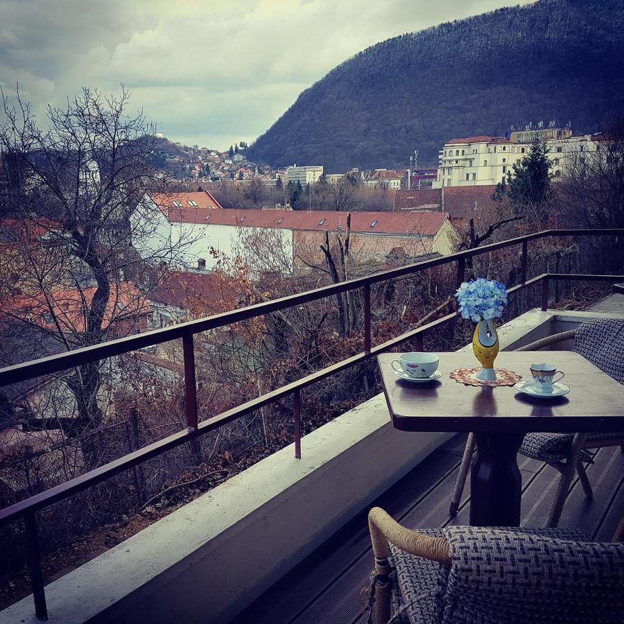 Vila Alba Brasov Ruang foto